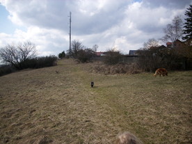 2010-03-21/DSCI5919.JPG