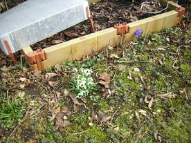 2010-03-21/DSCI5925.JPG
