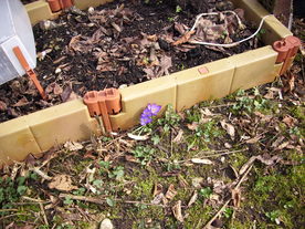 2010-03-21/DSCI5926.JPG