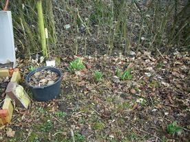 2010-03-21/DSCI5928.JPG
