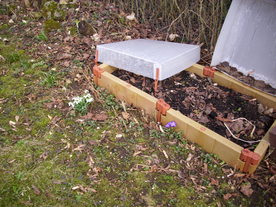 2010-03-21/DSCI5929.JPG