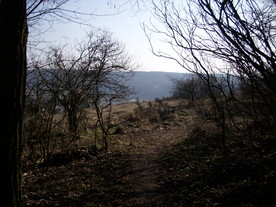 2010-03-24/DSCI5936.JPG