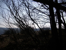 2010-03-24/DSCI5938.JPG