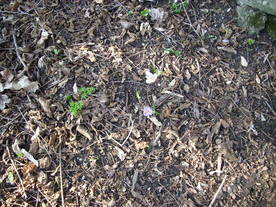 2010-03-24/DSCI5939.JPG