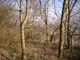 2010-03-24/DSCI5940.JPG
