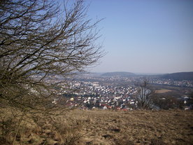 2010-03-24/DSCI5941.JPG