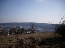 2010-03-24/DSCI5942.JPG