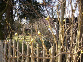 2010-03-24/DSCI5949.JPG