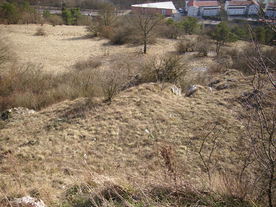 2010-03-24/DSCI5953.JPG
