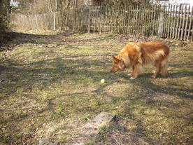 2010-03-24/DSCI5955.JPG