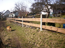 2010-03-24/DSCI5956.JPG