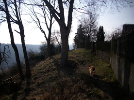 2010-03-24/DSCI5958.JPG
