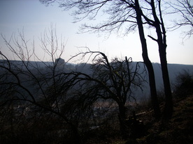 2010-03-24/DSCI5959.JPG