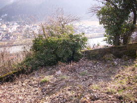 2010-03-24/DSCI5961.JPG