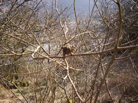 2010-03-24/DSCI5965.JPG