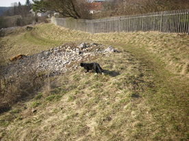 2010-03-24/DSCI5969.JPG