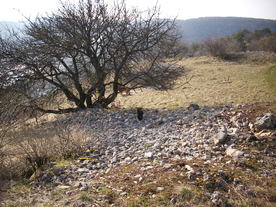 2010-03-24/DSCI5970.JPG