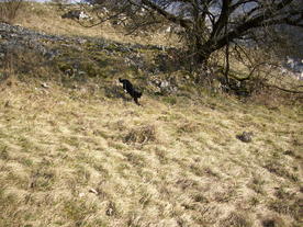 2010-03-24/DSCI5971.JPG