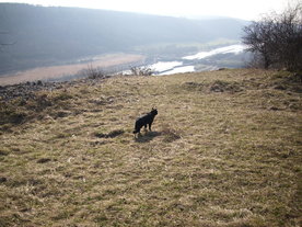 2010-03-24/DSCI5972.JPG