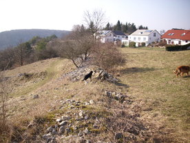 2010-03-24/DSCI5973.JPG