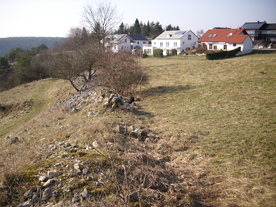 2010-03-24/DSCI5974.JPG