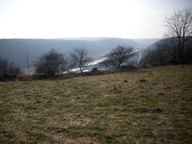 2010-03-24/DSCI5975.JPG