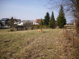 2010-03-24/DSCI5976.JPG