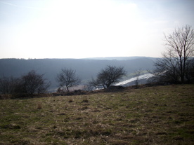 2010-03-24/DSCI5977.JPG