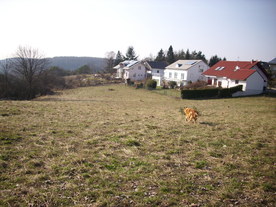 2010-03-24/DSCI5979.JPG