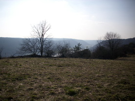 2010-03-24/DSCI5980.JPG