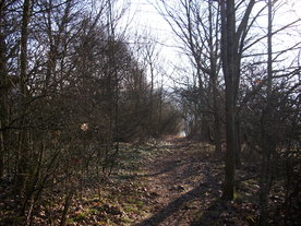 2010-03-24/DSCI5983.JPG