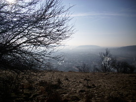 2010-03-24/DSCI5984.JPG