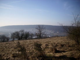 2010-03-24/DSCI5985.JPG