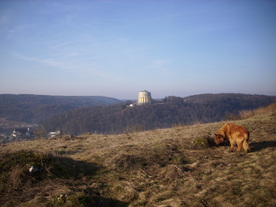 2010-03-24/DSCI5988.JPG