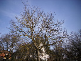2010-03-24/DSCI5989.JPG