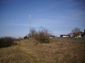 2010-03-24/DSCI5992.JPG