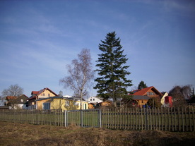 2010-03-24/DSCI5993.JPG