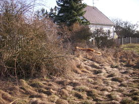 2010-03-24/DSCI5994.JPG