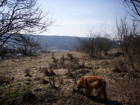 2010-03-24/DSCI6008.JPG
