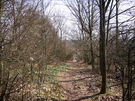 2010-03-24/DSCI6009.JPG