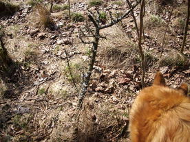 2010-03-24/DSCI6010.JPG