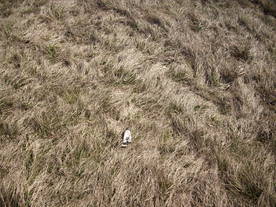 2010-03-24/DSCI6013.JPG