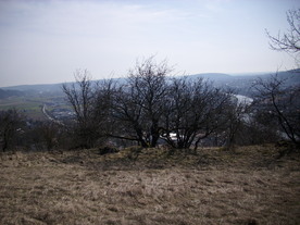 2010-03-24/DSCI6014.JPG