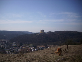 2010-03-24/DSCI6015.JPG