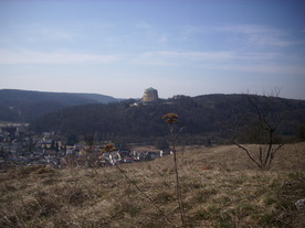 2010-03-24/DSCI6016.JPG