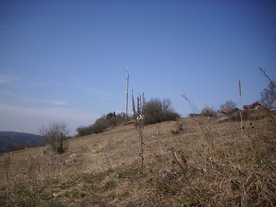 2010-03-24/DSCI6017.JPG