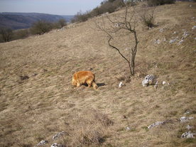 2010-03-24/DSCI6022.JPG