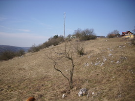 2010-03-24/DSCI6023.JPG