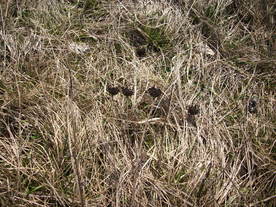 2010-03-24/DSCI6024.JPG