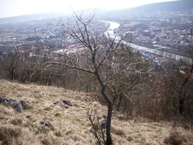 2010-03-24/DSCI6025.JPG